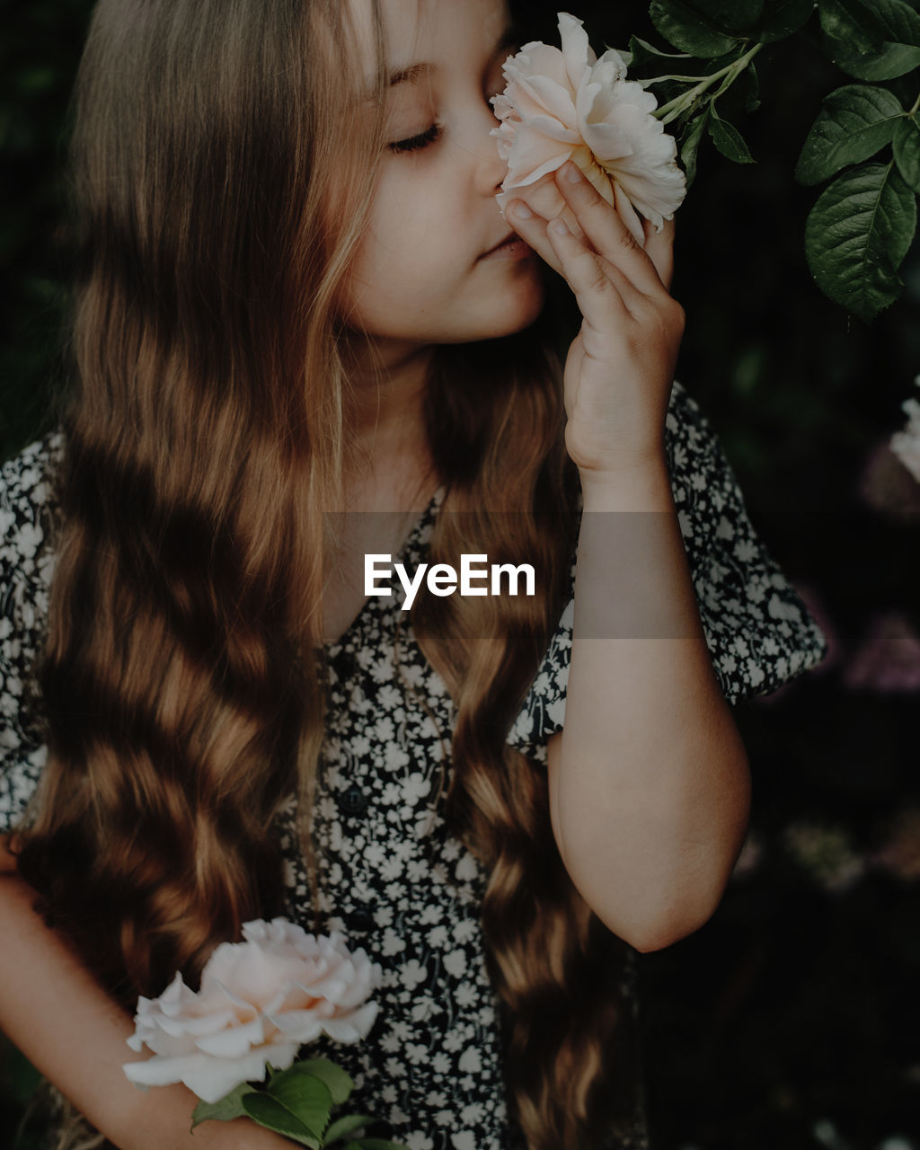 Midsection of young girl smelling a rose