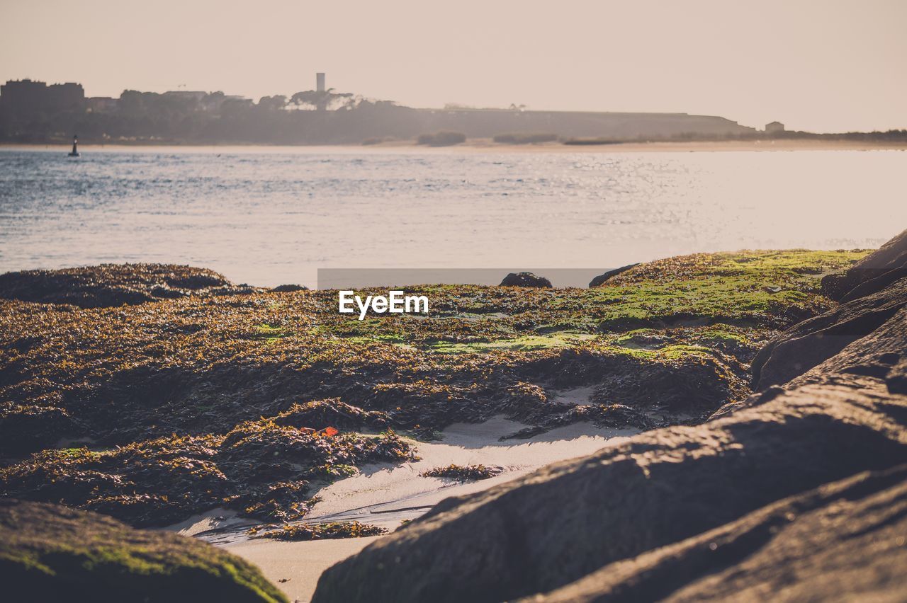 SCENIC VIEW OF SEA AGAINST CLEAR SKY AT SUNSET