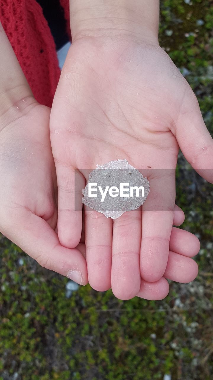 Cropped hands holding ice