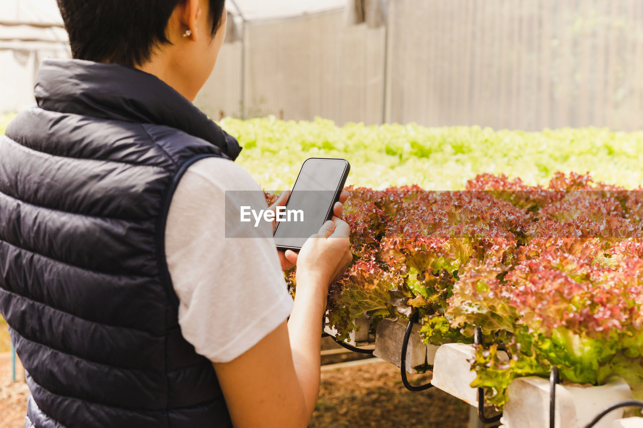 Asian woman farmers using mobile working in vegetables hydroponic farm.