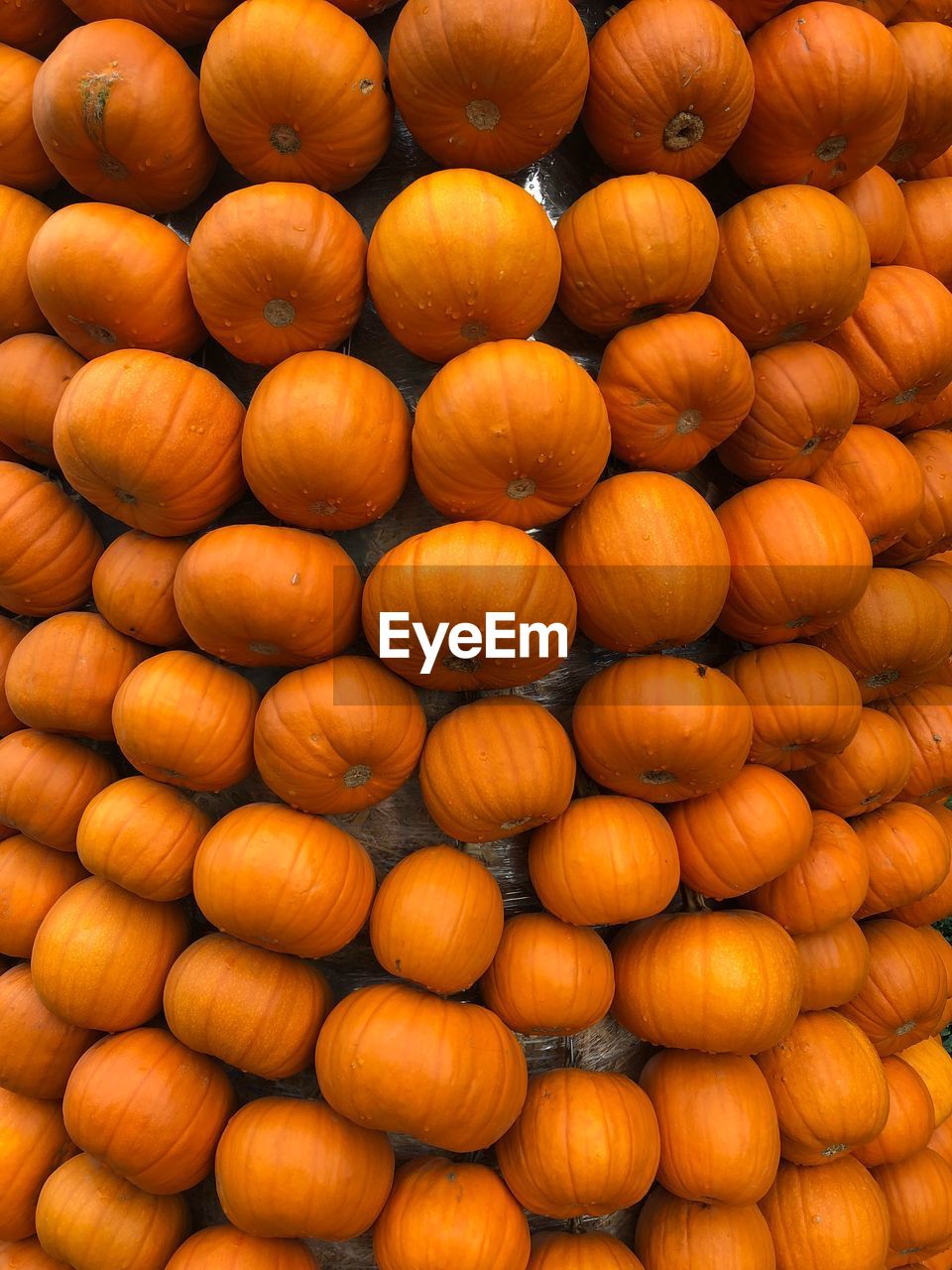 FULL FRAME SHOT OF ORANGES