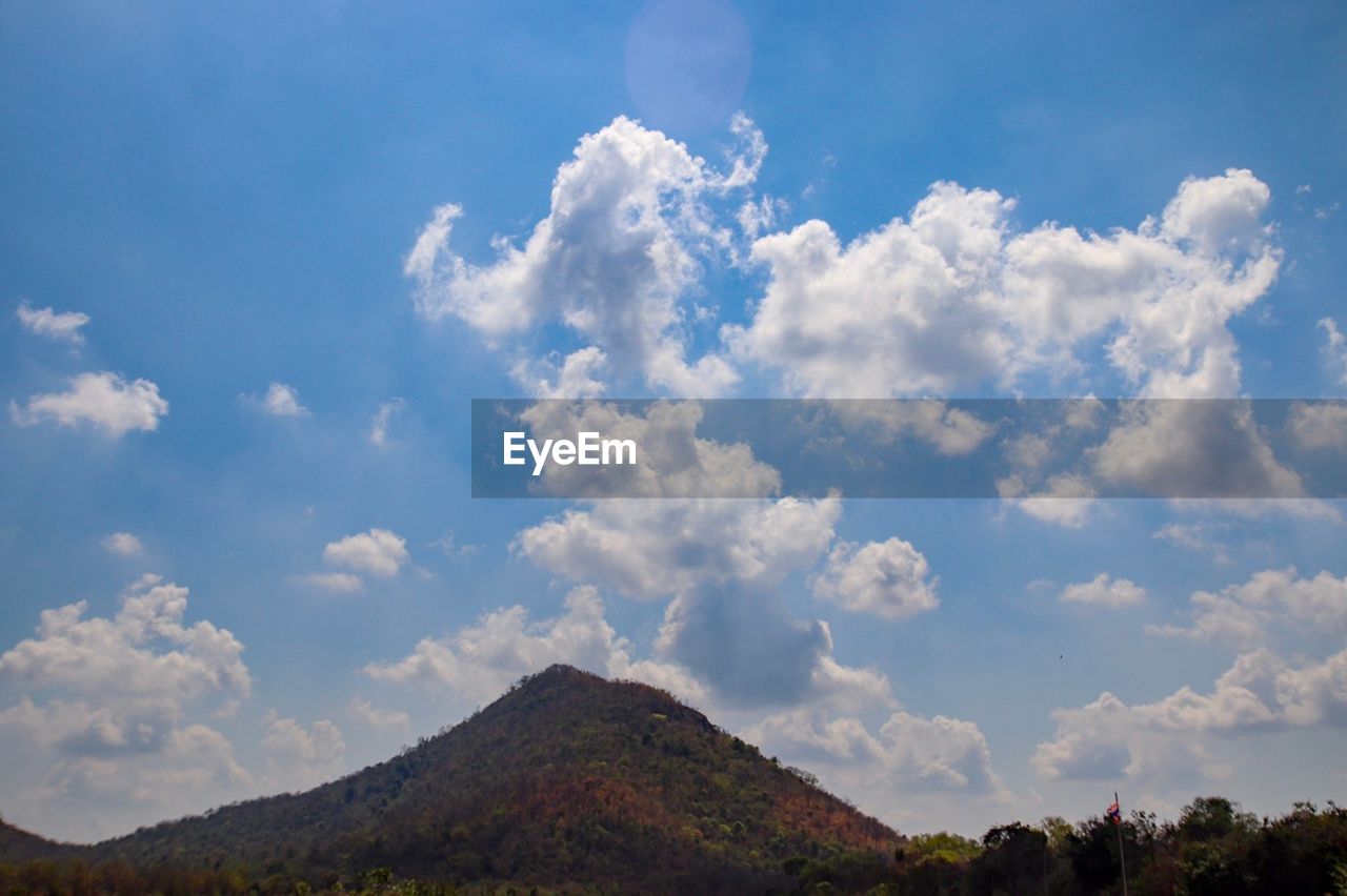 LOW ANGLE VIEW OF TREES AGAINST BLUE SKY