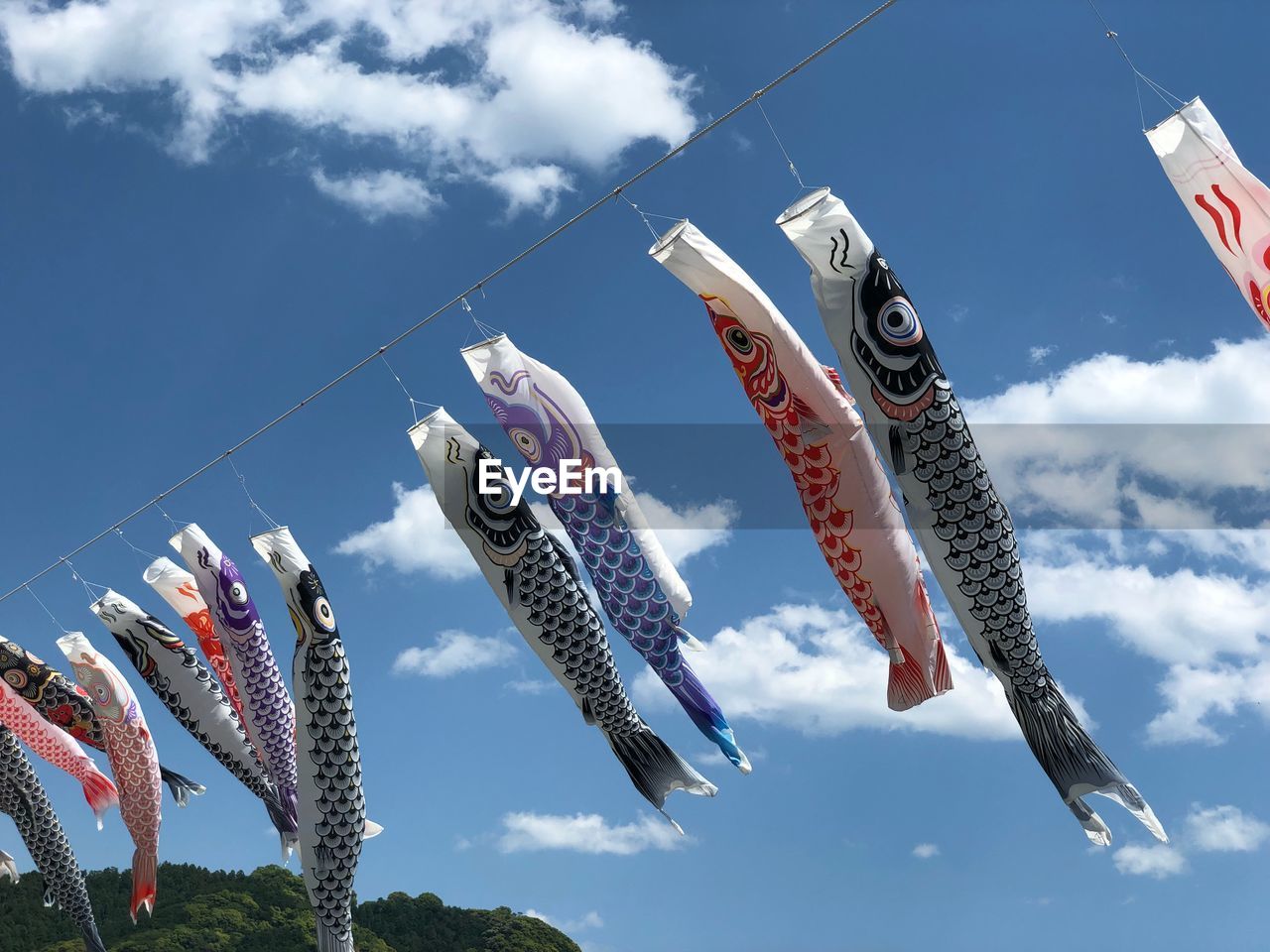 LOW ANGLE VIEW OF FISH HANGING FROM FLAGS