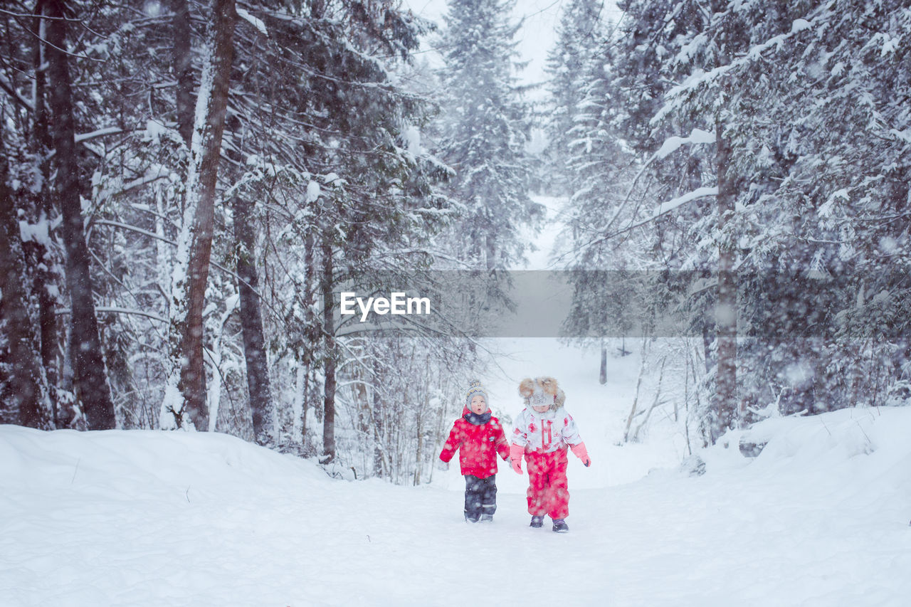 Kids walk winter snow forest