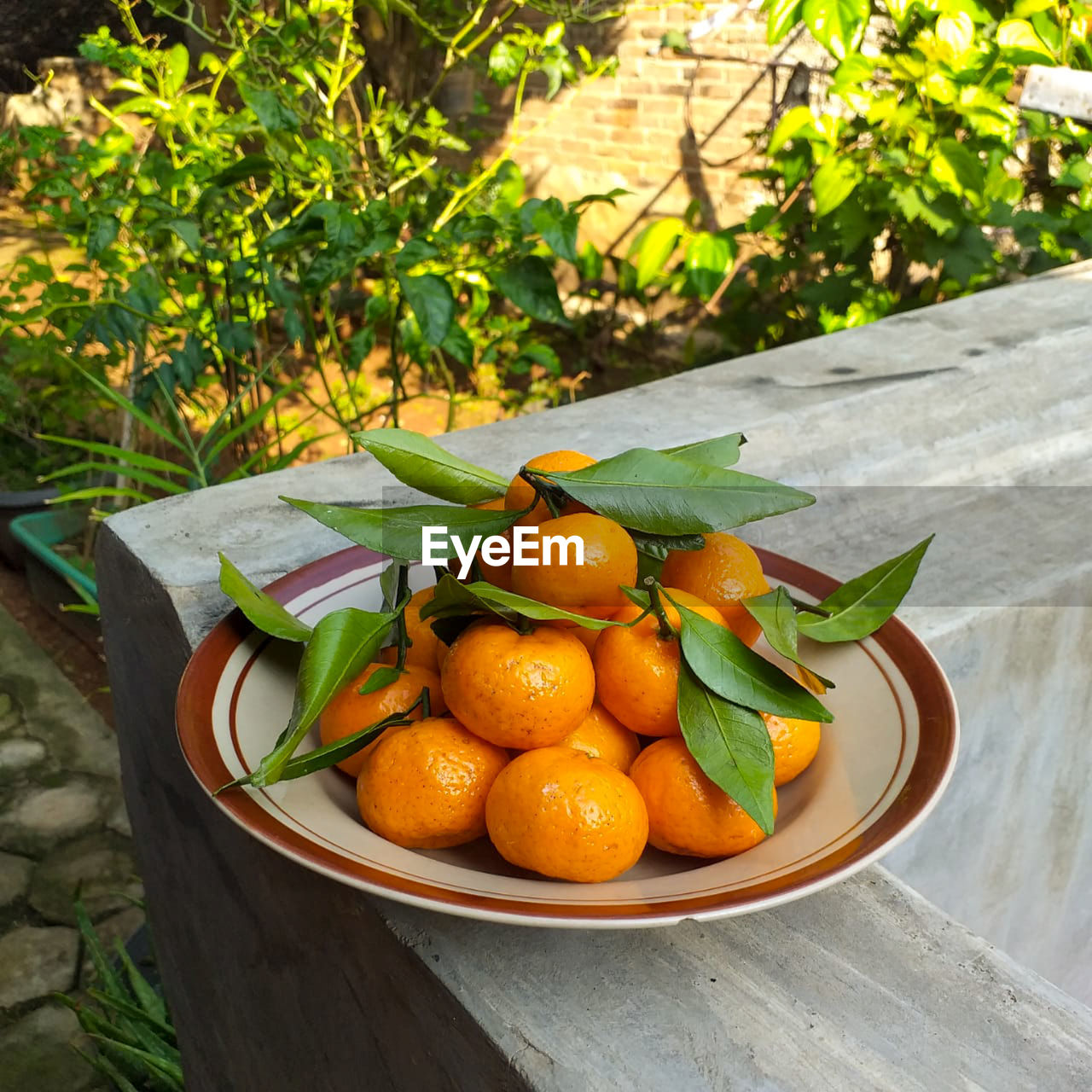 High angle view of fruits