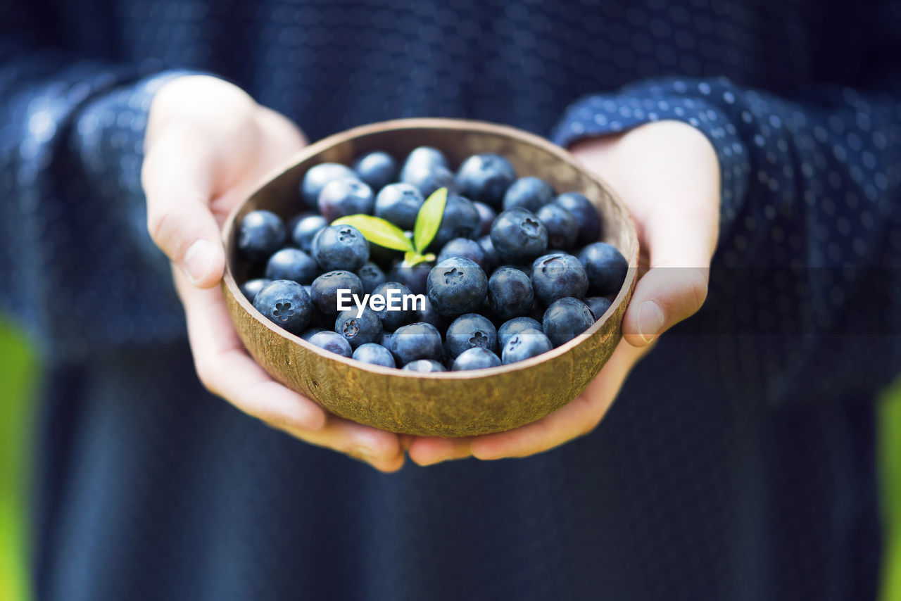 Midsection of woman holding bowl with blueberries