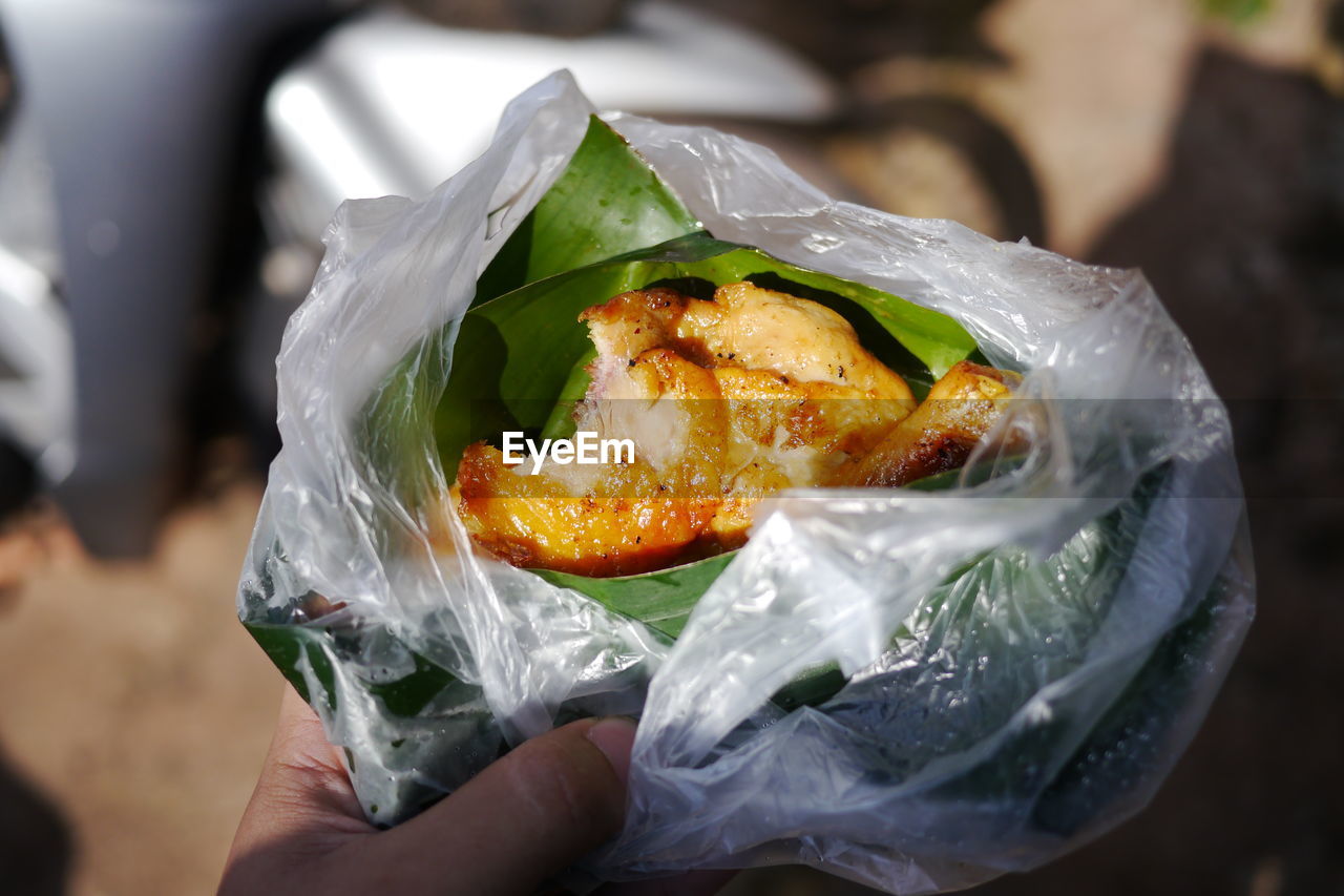 Cropped image of person holding food in plastic bag