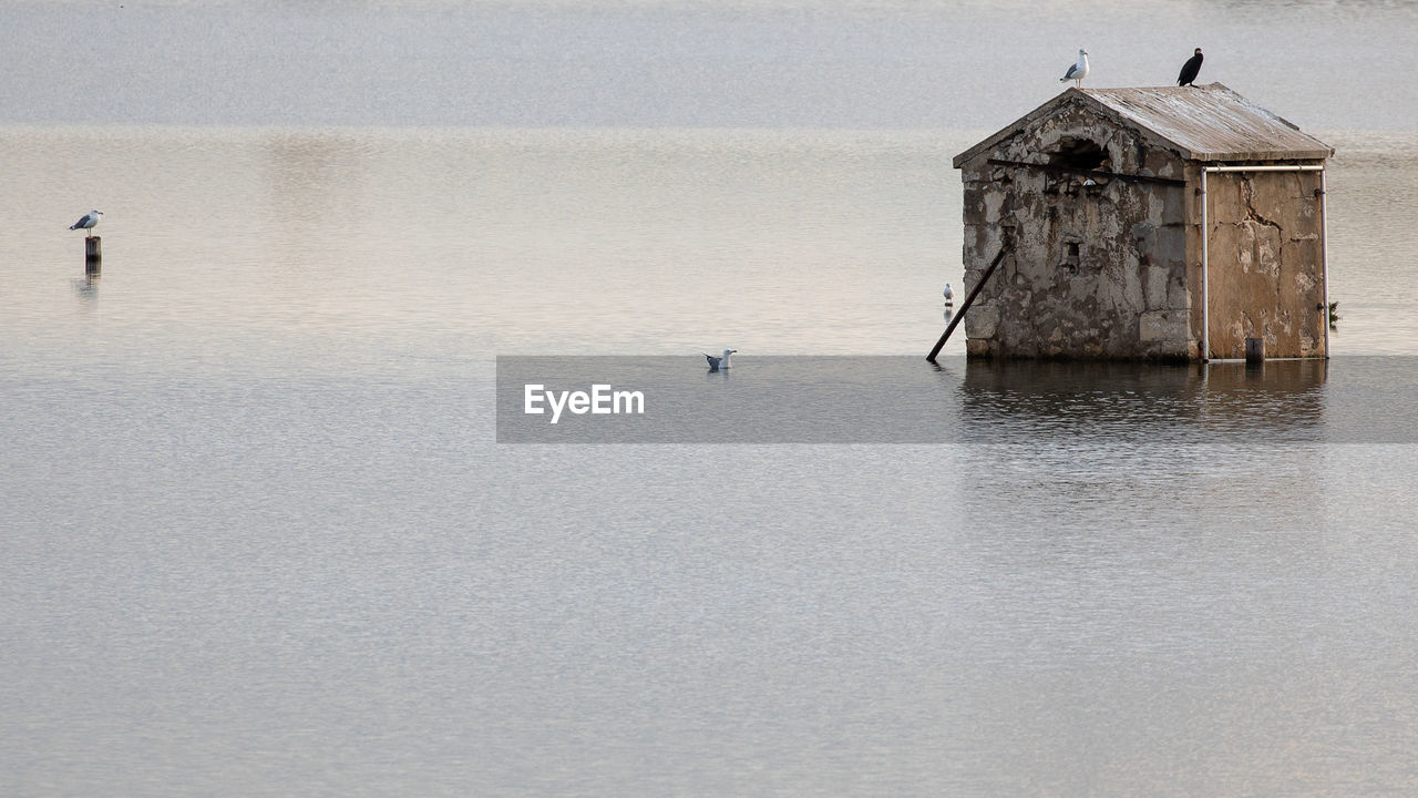 water, bird, animal themes, animal, nature, winter, architecture, built structure, wildlife, sea, animal wildlife, day, no people, reflection, tranquility, group of animals, building exterior, beauty in nature, scenics - nature, outdoors, tranquil scene, shore, building, waterfront, beach, sky, wood