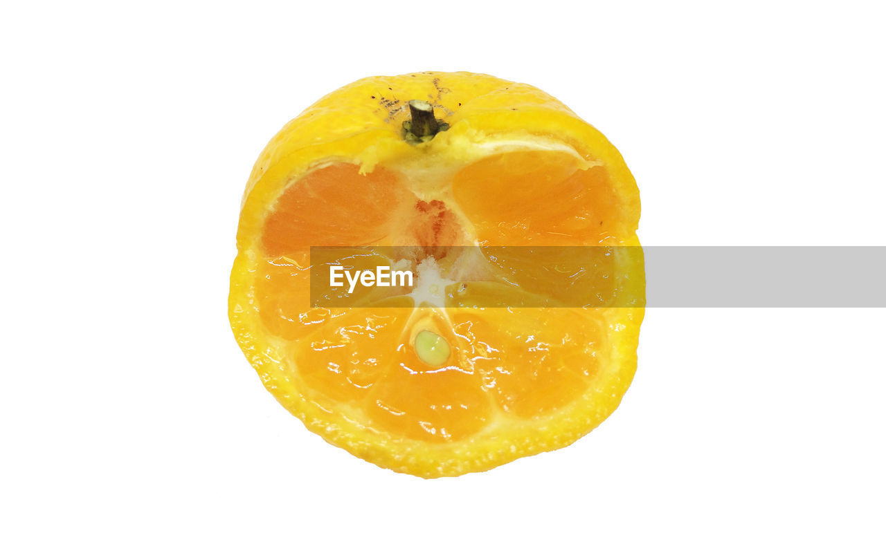 CLOSE-UP OF ORANGE SLICE AGAINST WHITE BACKGROUND