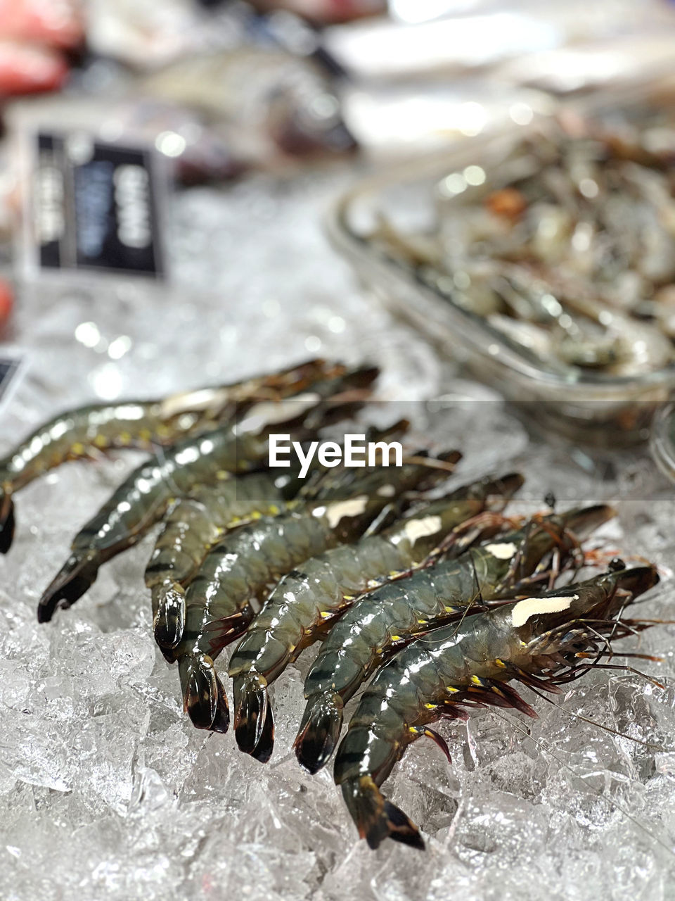 seafood, food, food and drink, fish, animal, freshness, cold temperature, raw food, wellbeing, no people, market, ice, close-up, healthy eating, sardine, for sale, fishing industry, fish market, fishing, animal themes, retail, indoors, focus on foreground, business, selective focus