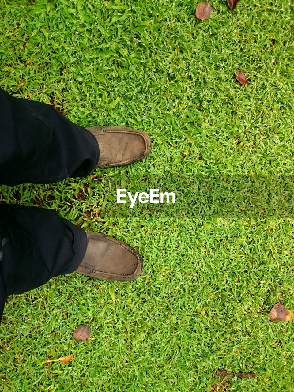 LOW SECTION OF PERSON STANDING ON GRASS