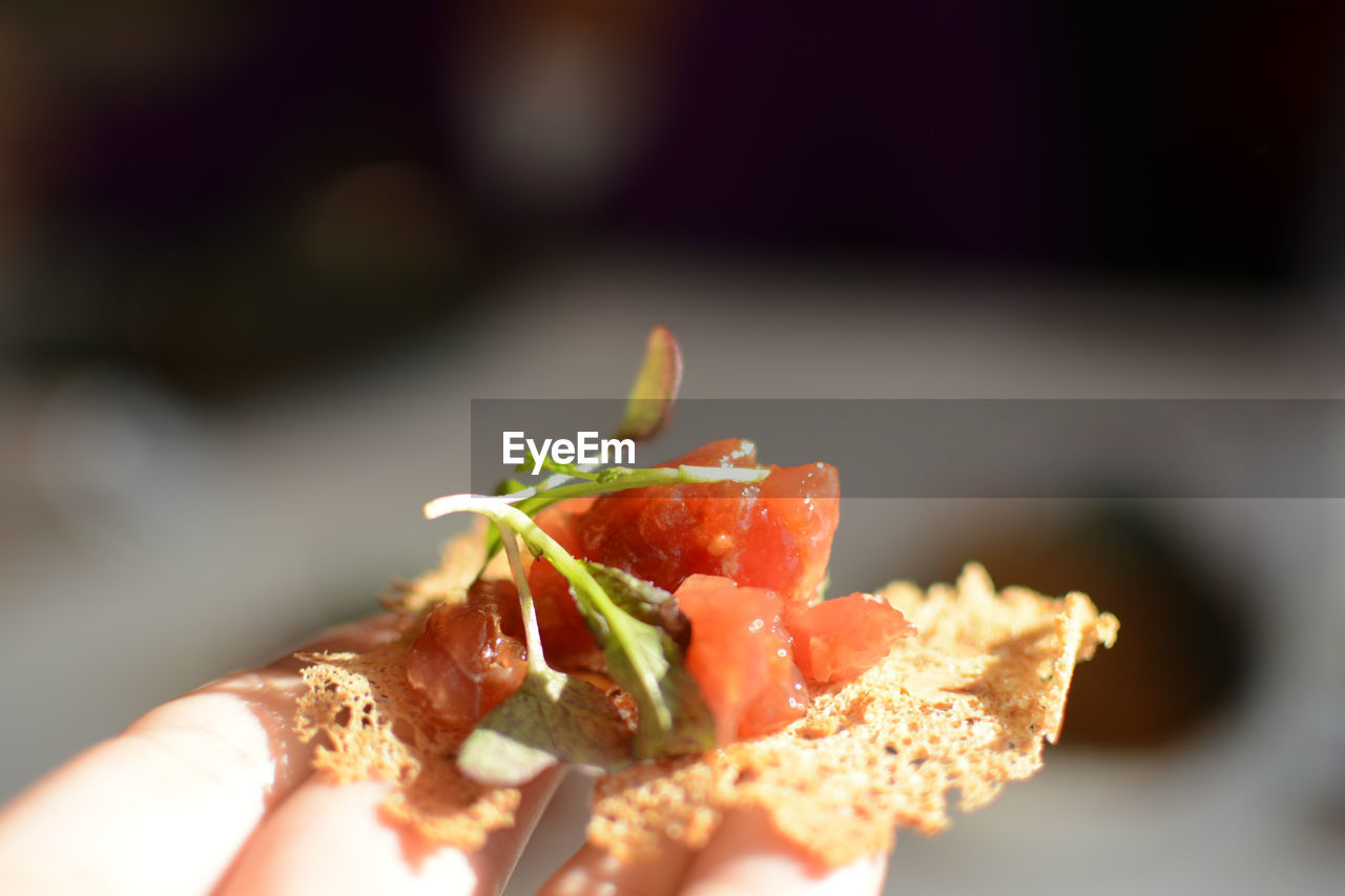 Close-up of hand holding food during sunny day