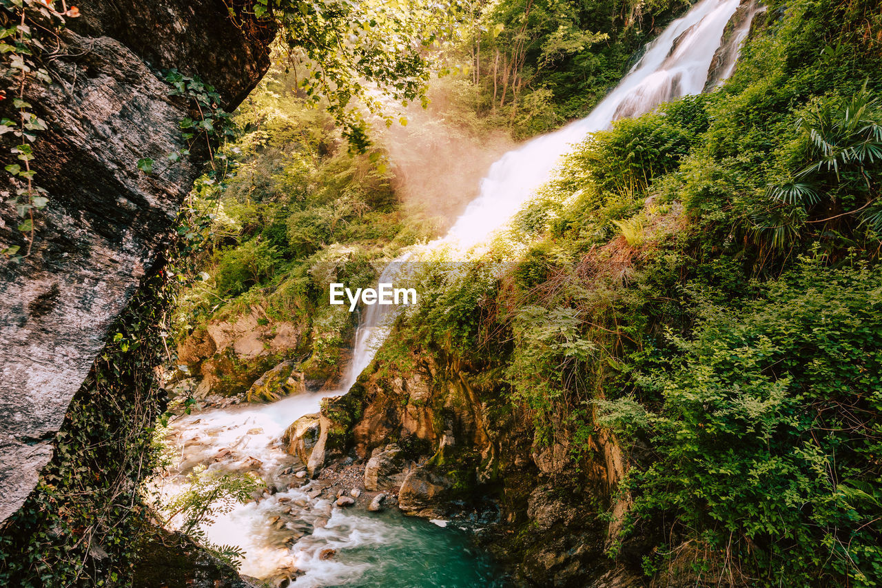 Waterfall immersed in the vegetation of the orrido of bellano, long exposure