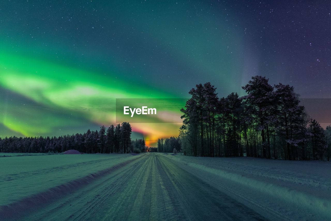 Scenic view of trees against sky at night during winter