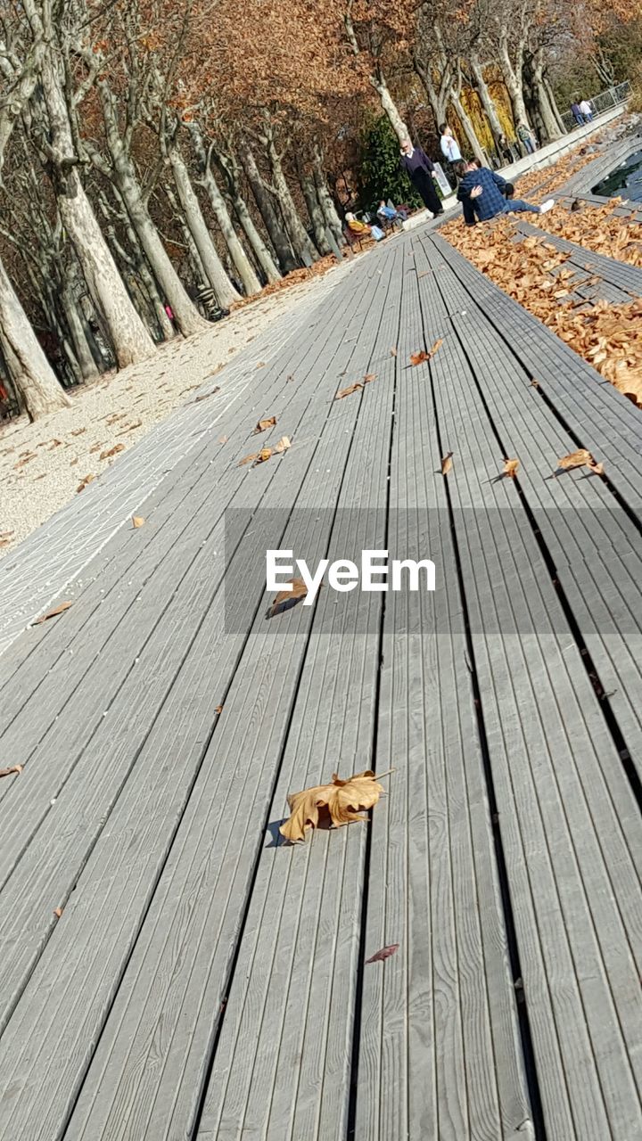 WOODEN BOARDWALK ON BOARDWALK