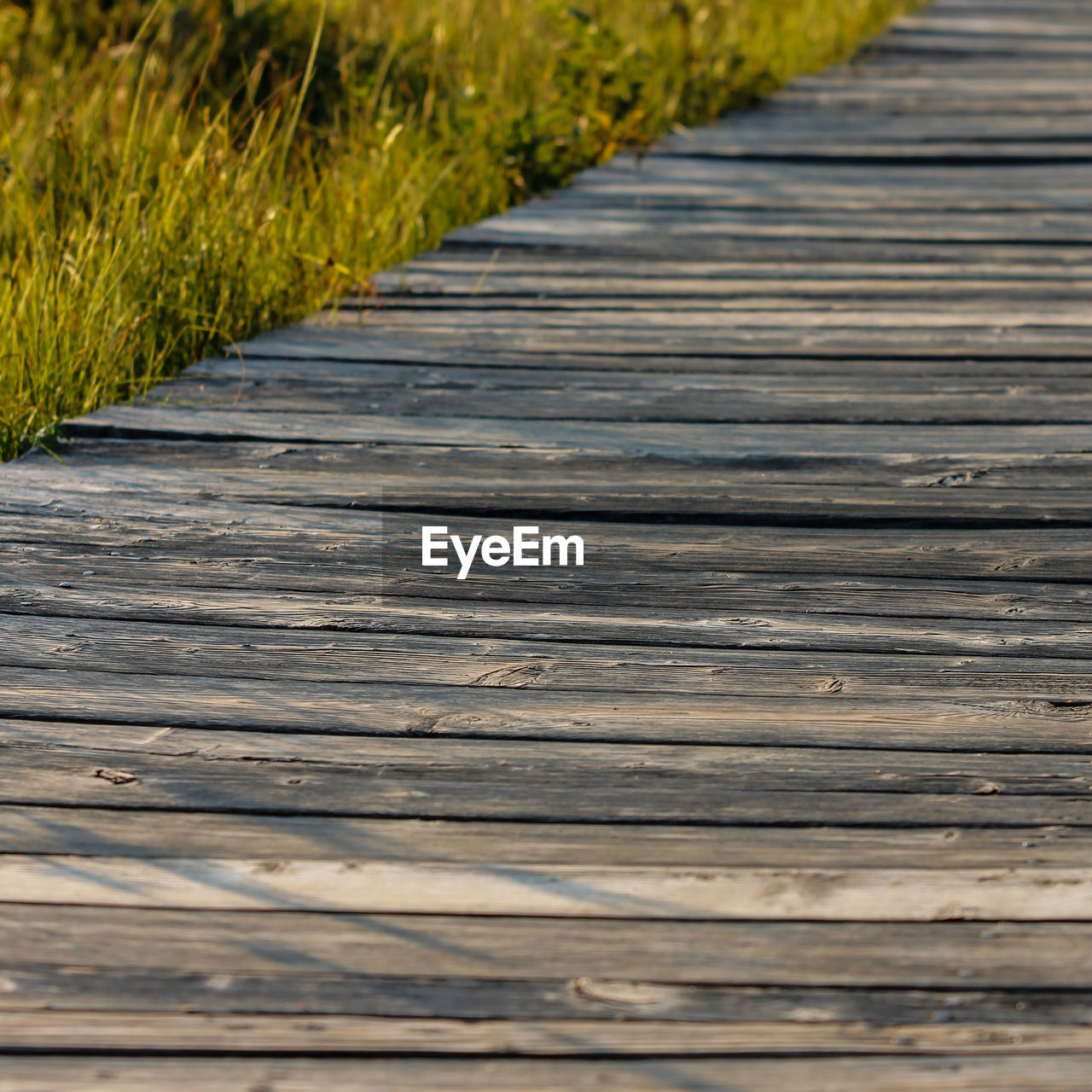 SURFACE LEVEL VIEW OF WOOD TRACK