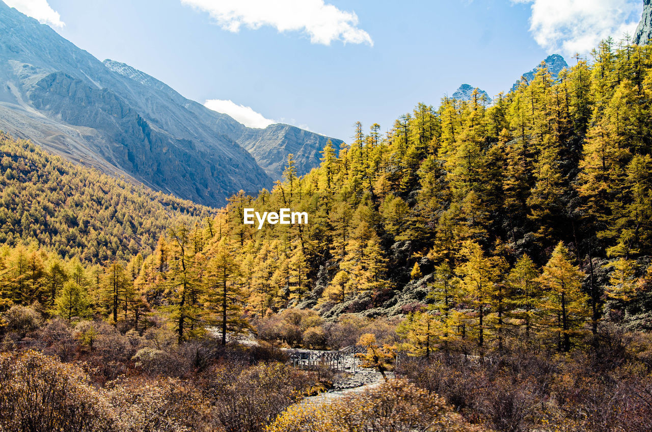 Scenic view of landscape against sky during autumn