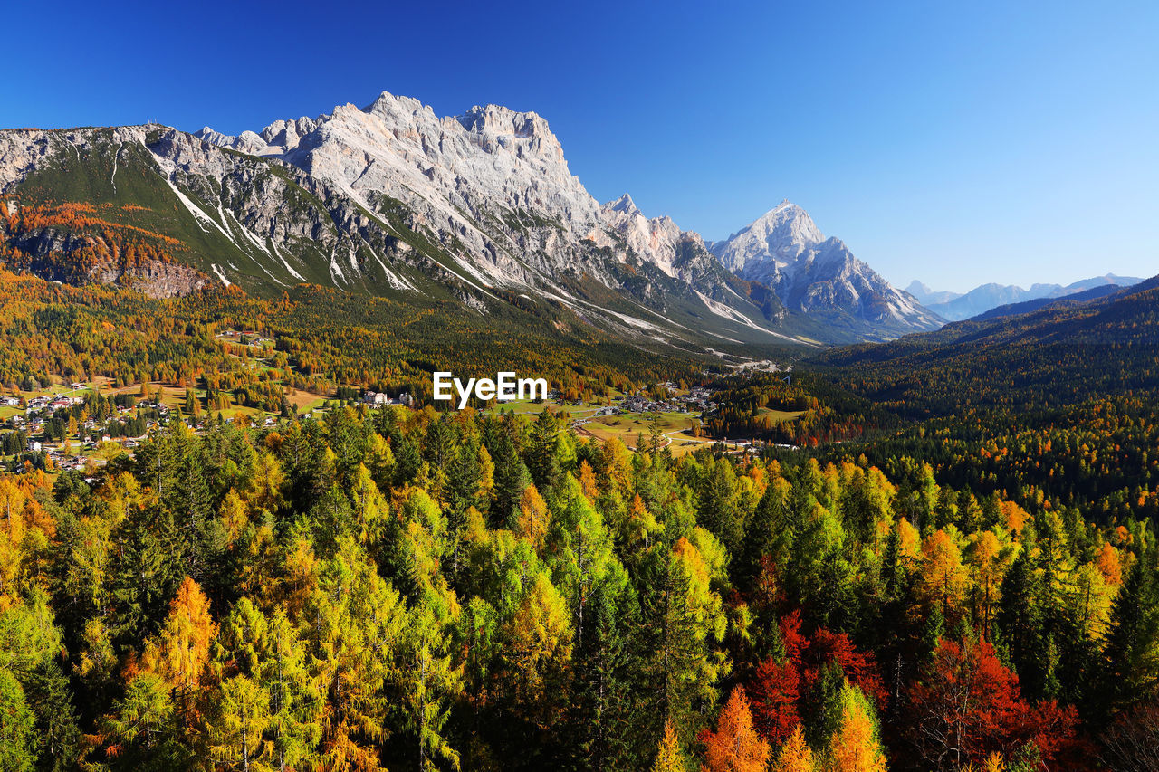 Scenic view of forest and mountains against clear sky