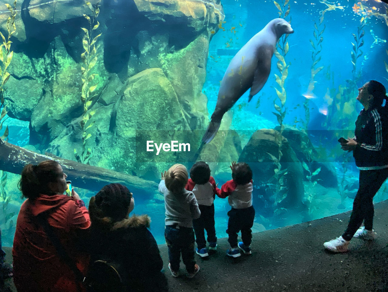 GROUP OF PEOPLE AT FISH IN AQUARIUM