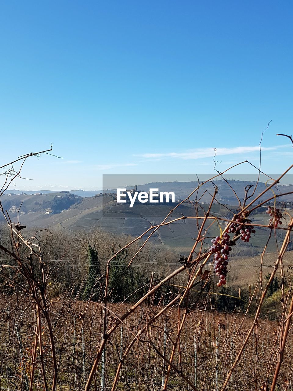 SCENIC VIEW OF SHORE AGAINST CLEAR SKY