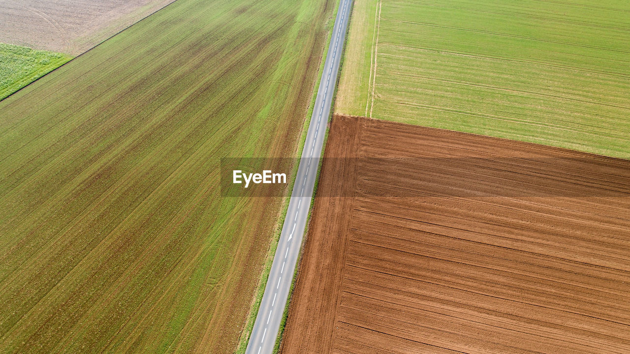 Aerial view of road amidst agricultural field