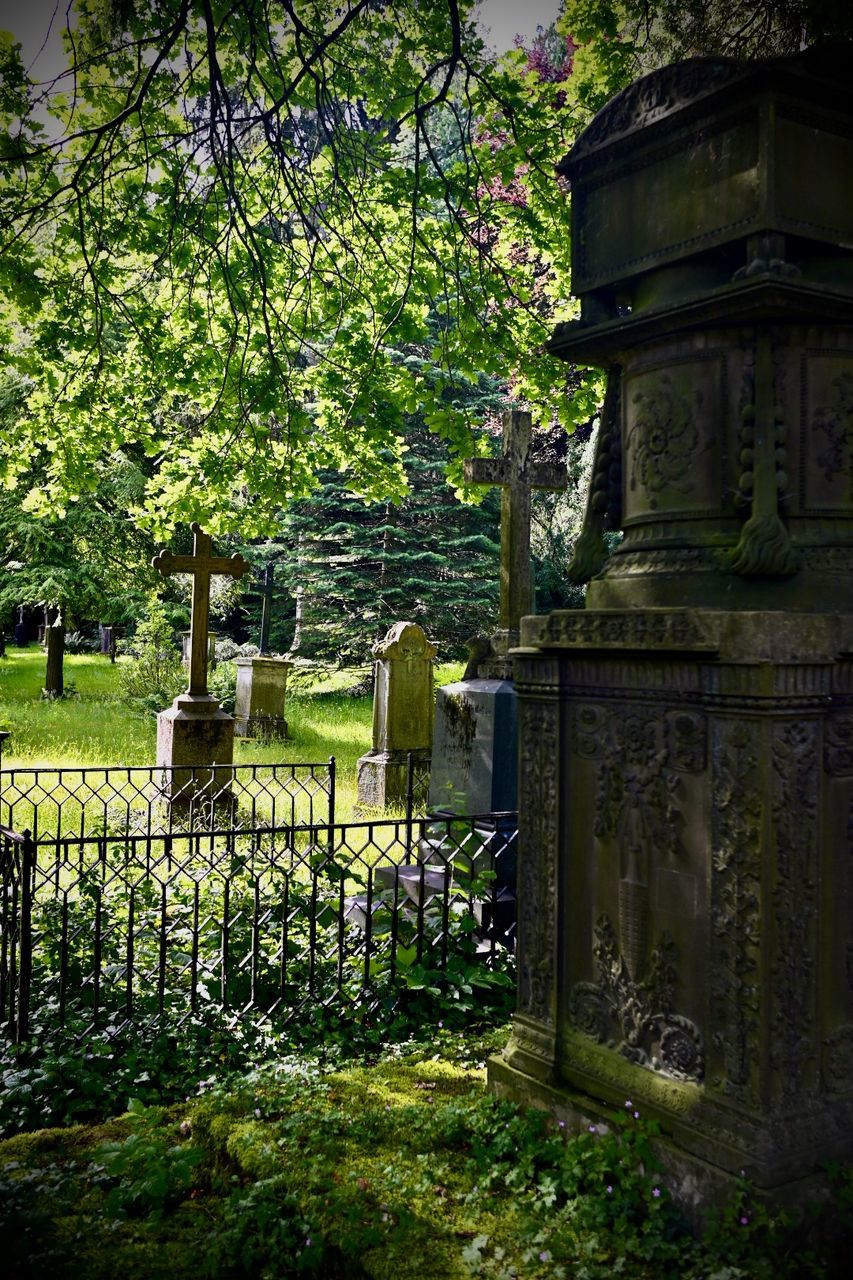 plant, green, cemetery, grave, tree, nature, architecture, no people, garden, built structure, flower, day, growth, tombstone, grass, outdoors, history, religion, building exterior, the past, death, building, autumn, gate, fence, sunlight, leaf, stone