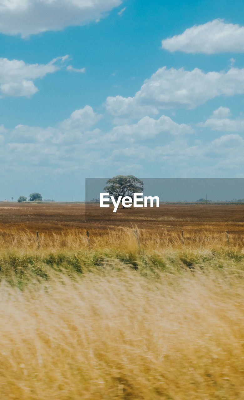 scenic view of field against cloudy sky