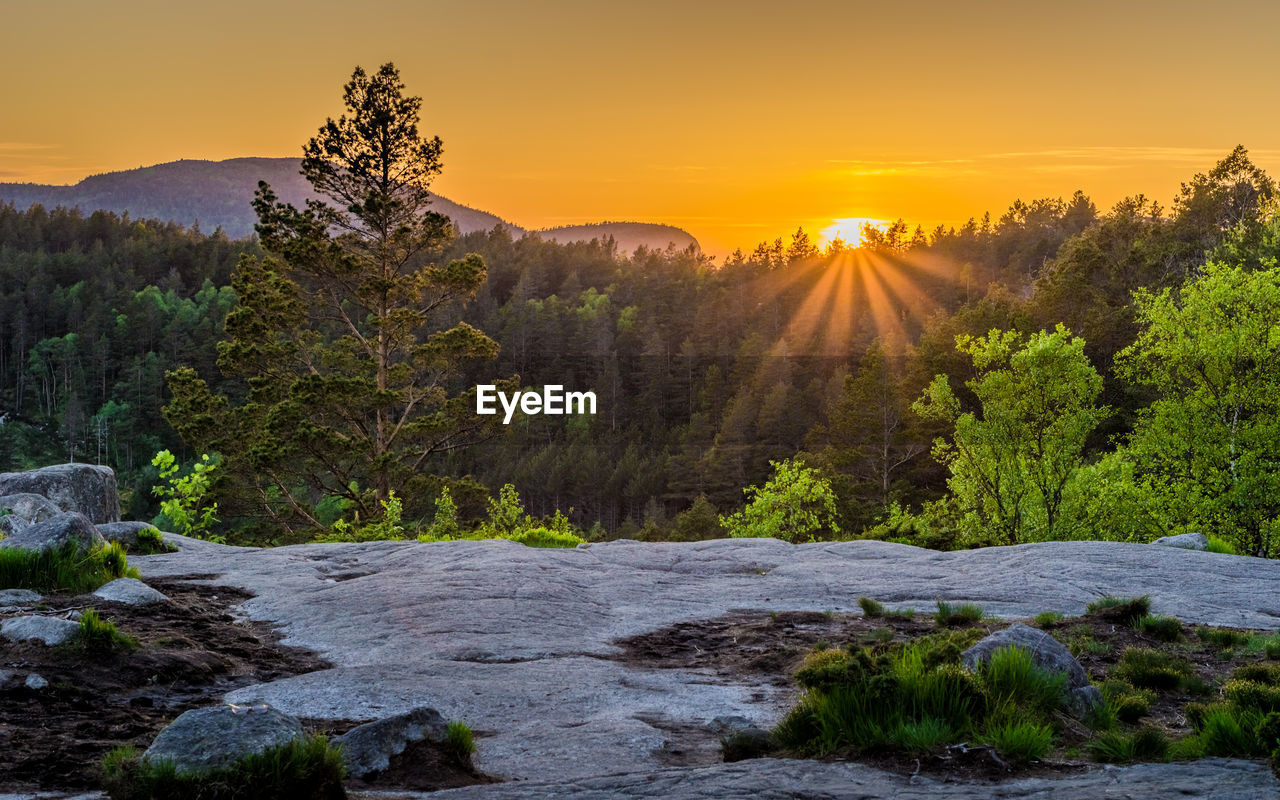 Scenic view of river by trees against sky during sunset