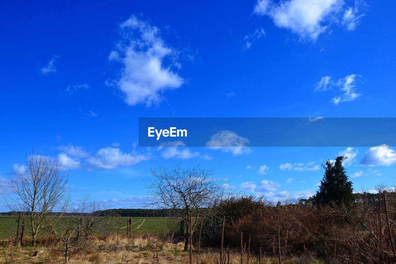 LANDSCAPE AGAINST BLUE SKY