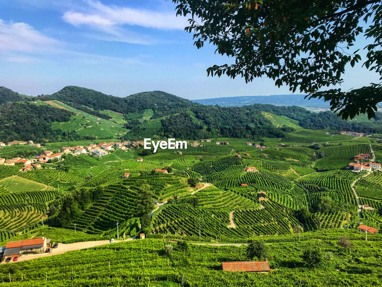 Scenic view of prosecco hills in italy