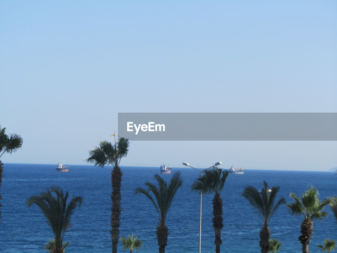 PALM TREES BY SEA AGAINST CLEAR SKY