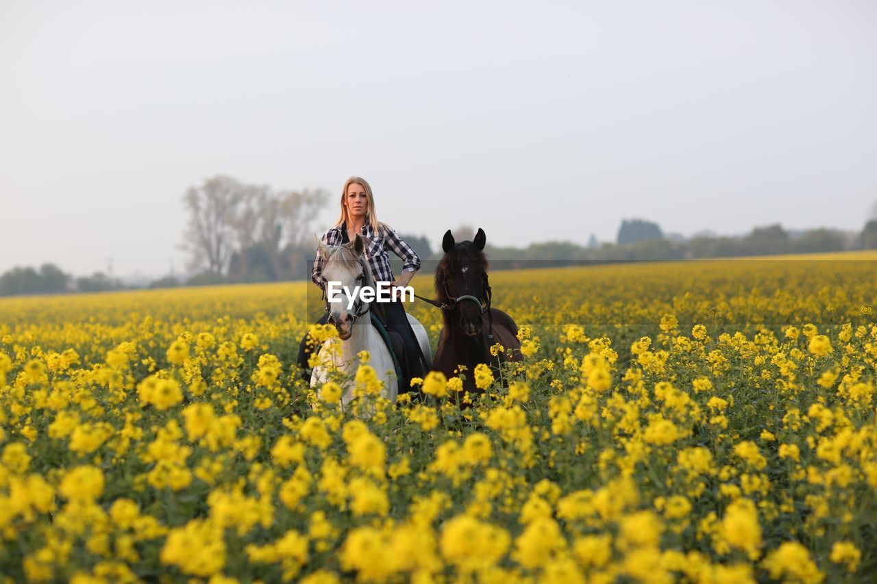 Portrait of woman with horses amidst yellow flowers on oilseed rape field