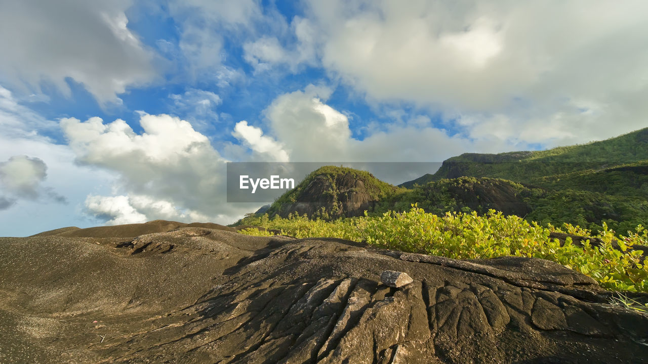 Mountain area on the island of praslin. the rocks are thickly overgrown with tropical greenery. 