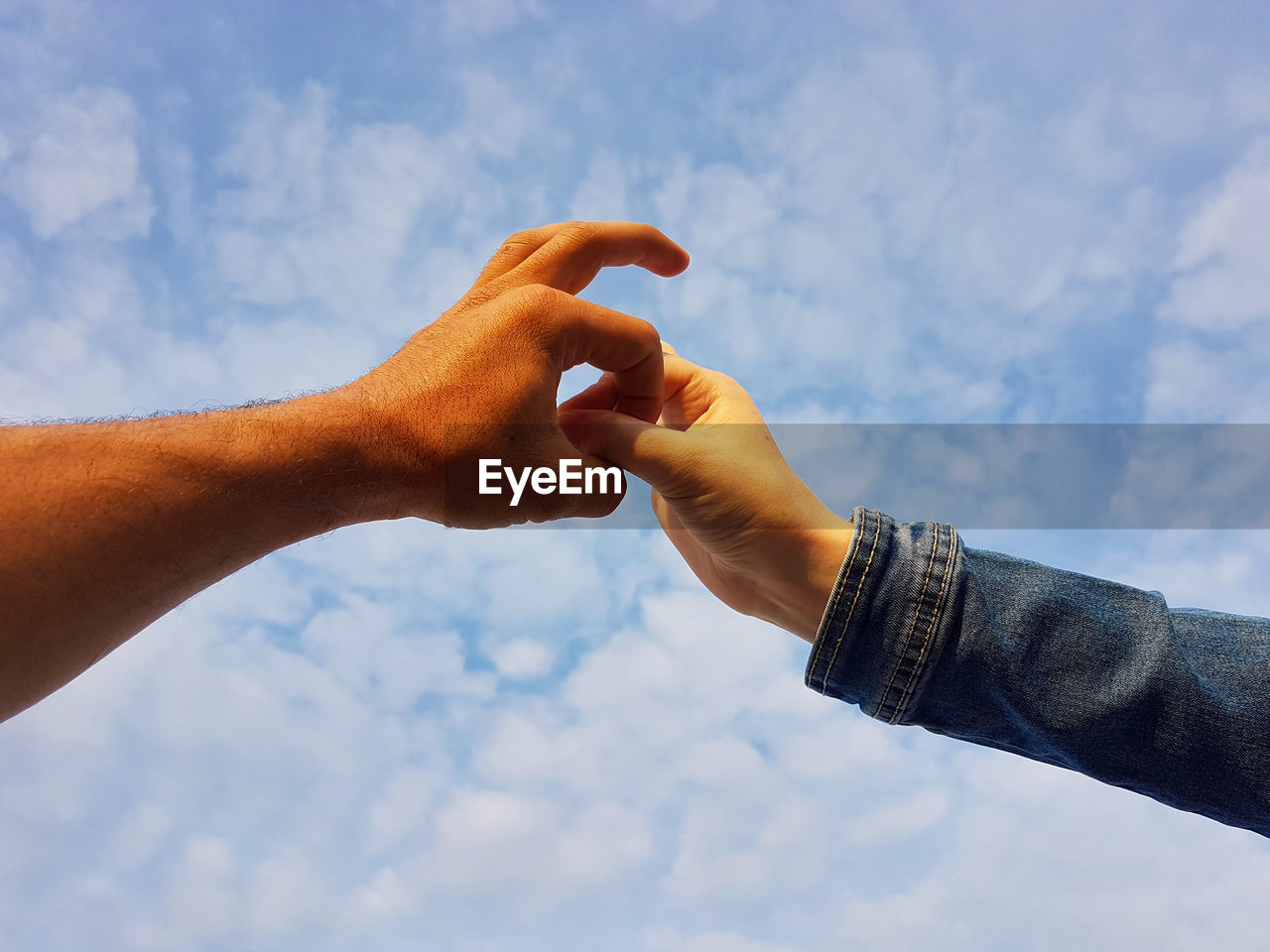 Low angle view of hand holding lizard against sky