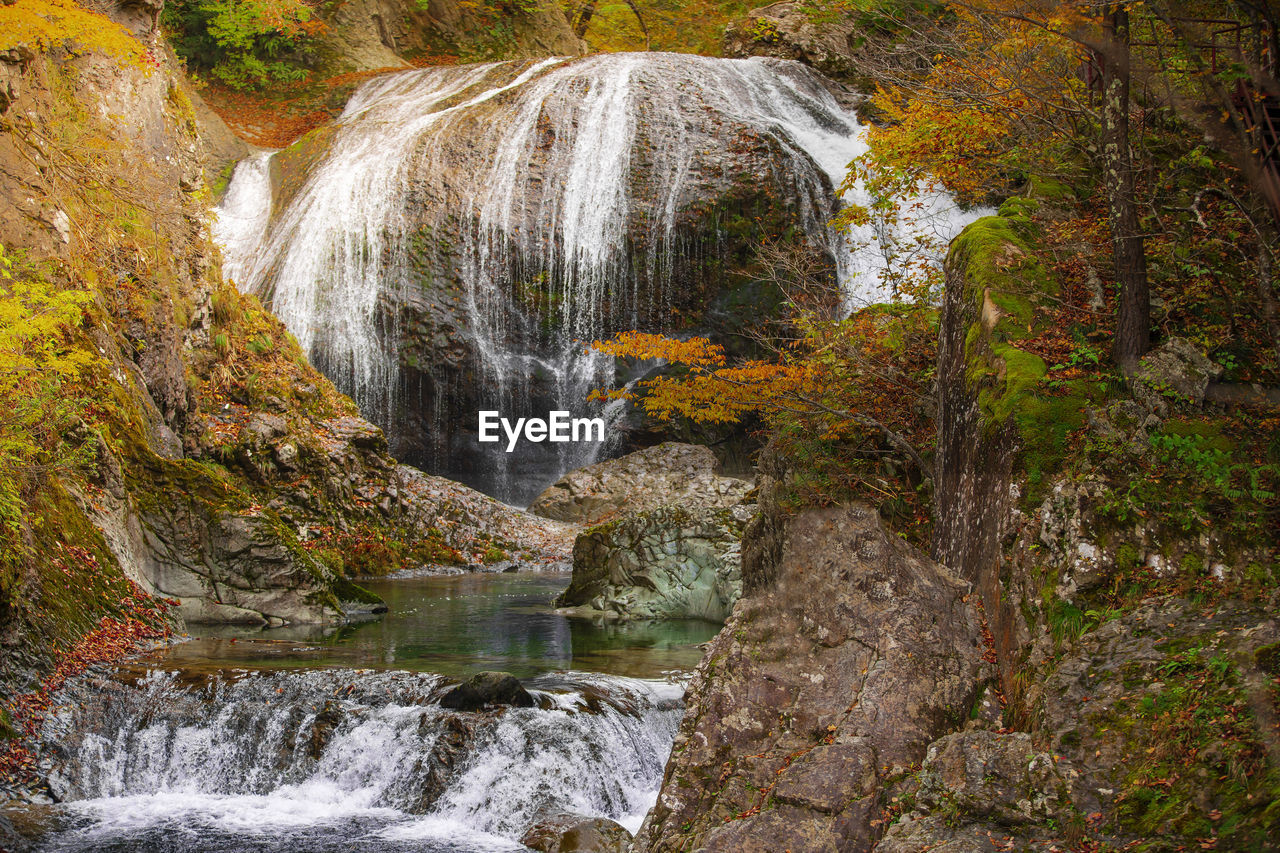 STREAM FLOWING THROUGH ROCKS IN FOREST