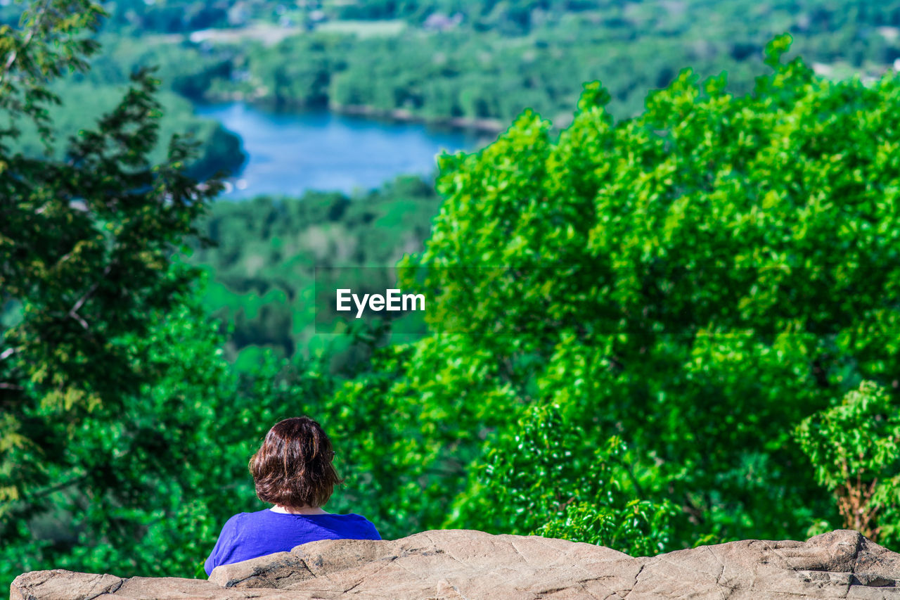 Rear view of woman on mountain looking at view