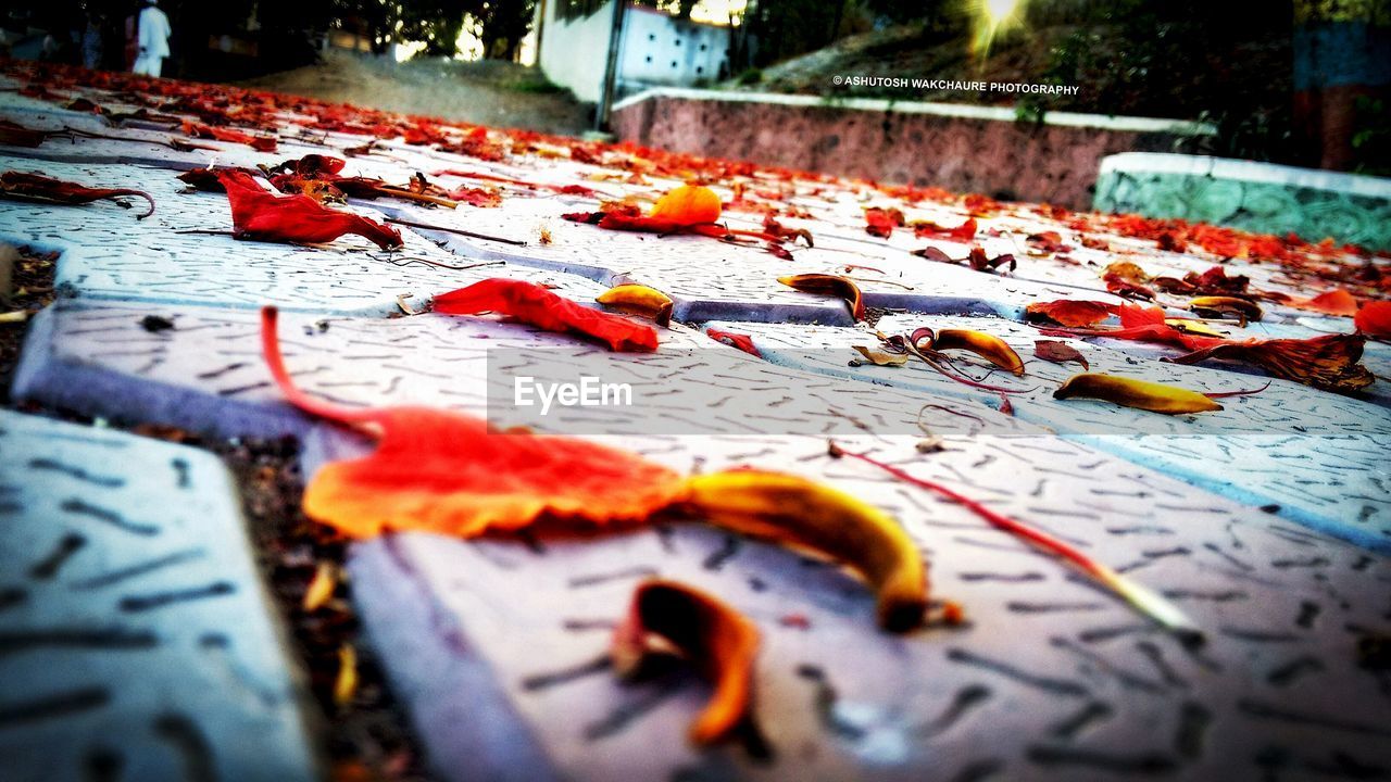 CLOSE-UP OF MULTI COLORED PENCILS ON THE GROUND