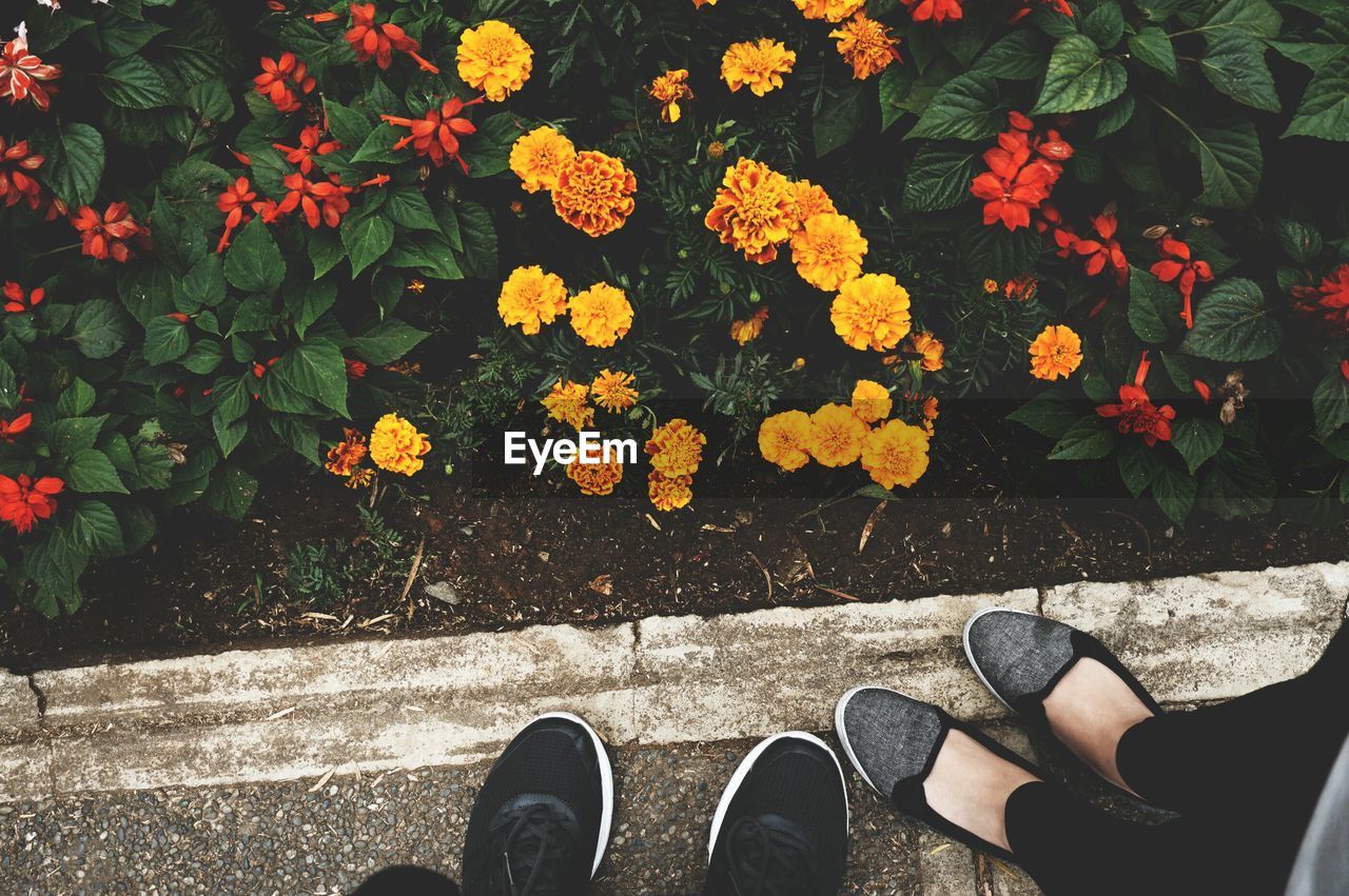 Low section of people standing by flowers