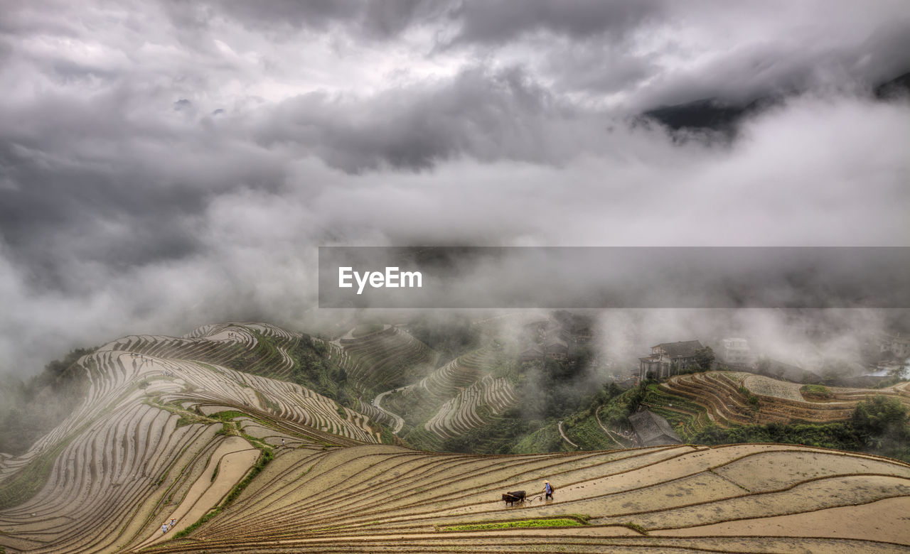 PANORAMIC VIEW OF LANDSCAPE