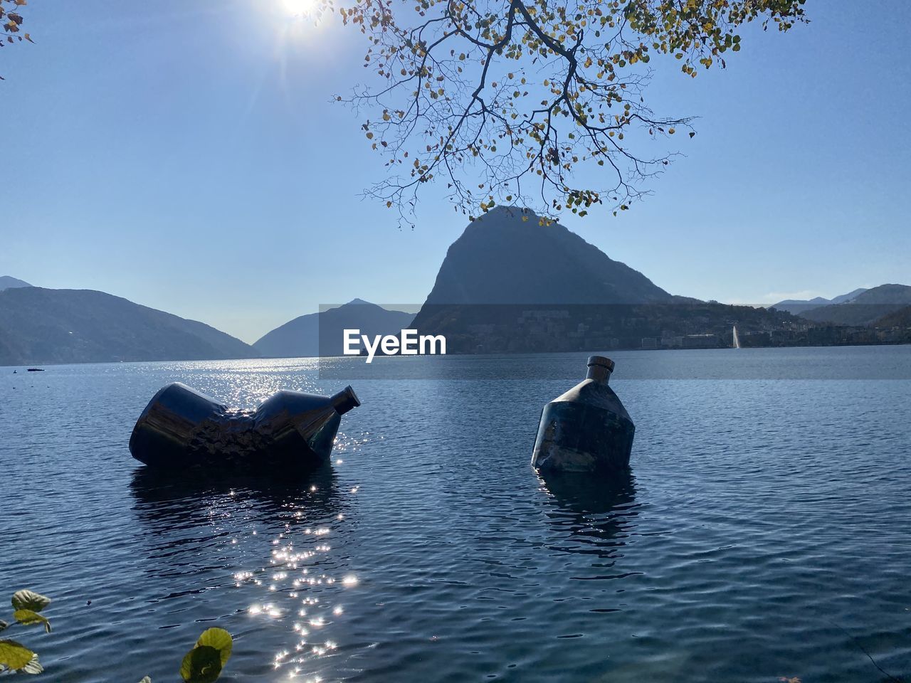 VIEW OF DUCKS ON LAKE