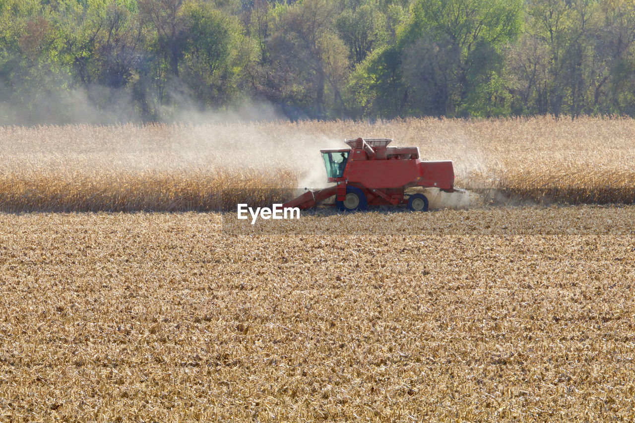 TRACTOR IN FIELD