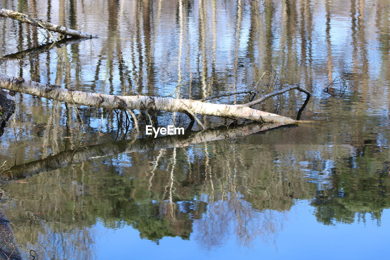 SCENIC VIEW OF LAKE