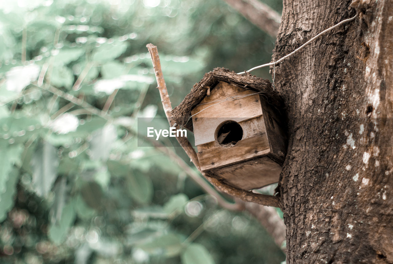 Low angle view of birdhouse on tree