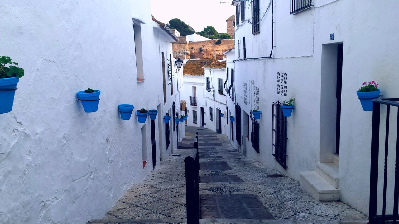 Walkway amidst building in town