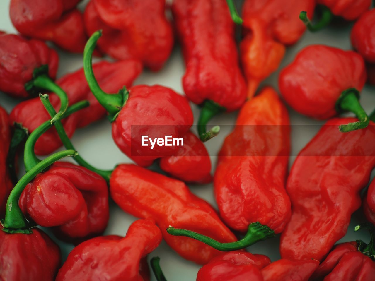 Full frame shot of jalapeno peppers