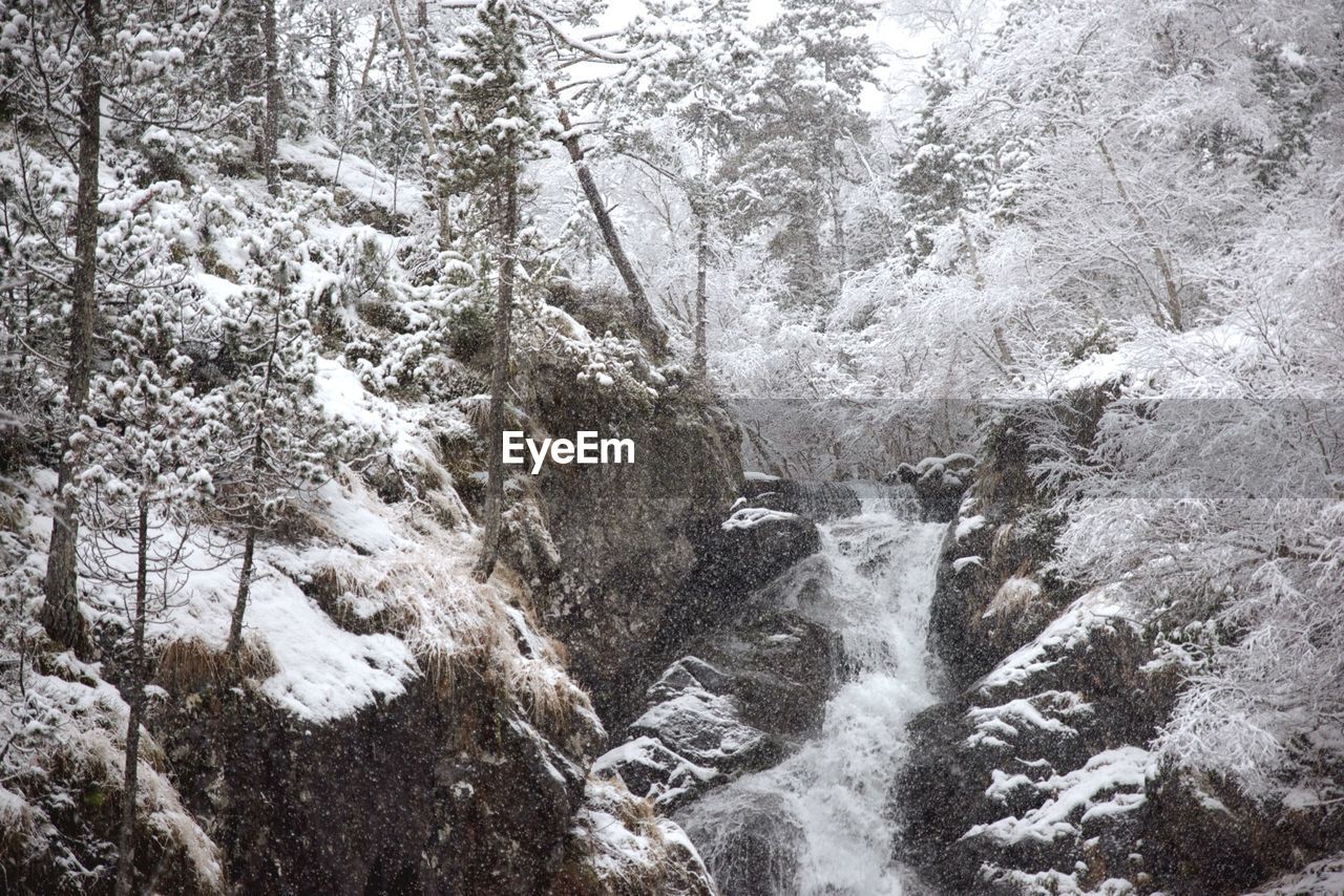 Waterfall amidst snowcapped bare trees in forest during winter