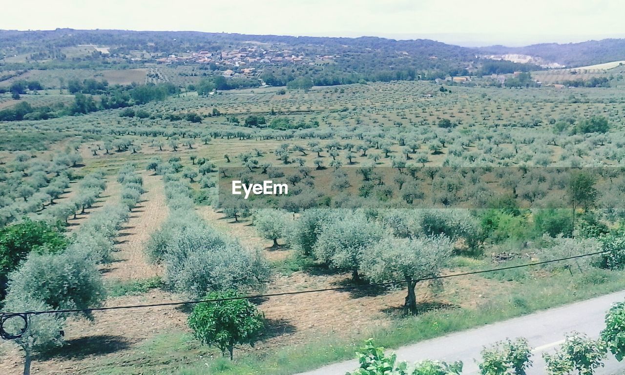 HIGH ANGLE VIEW OF FARM AGAINST SKY