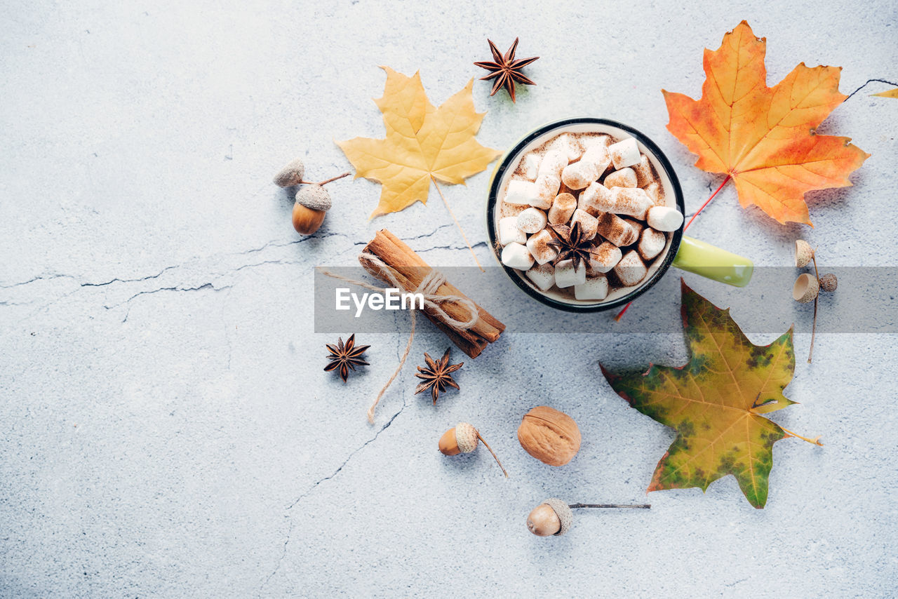 Cozy autumn hot drink with marshmallow and yellow maple leaves