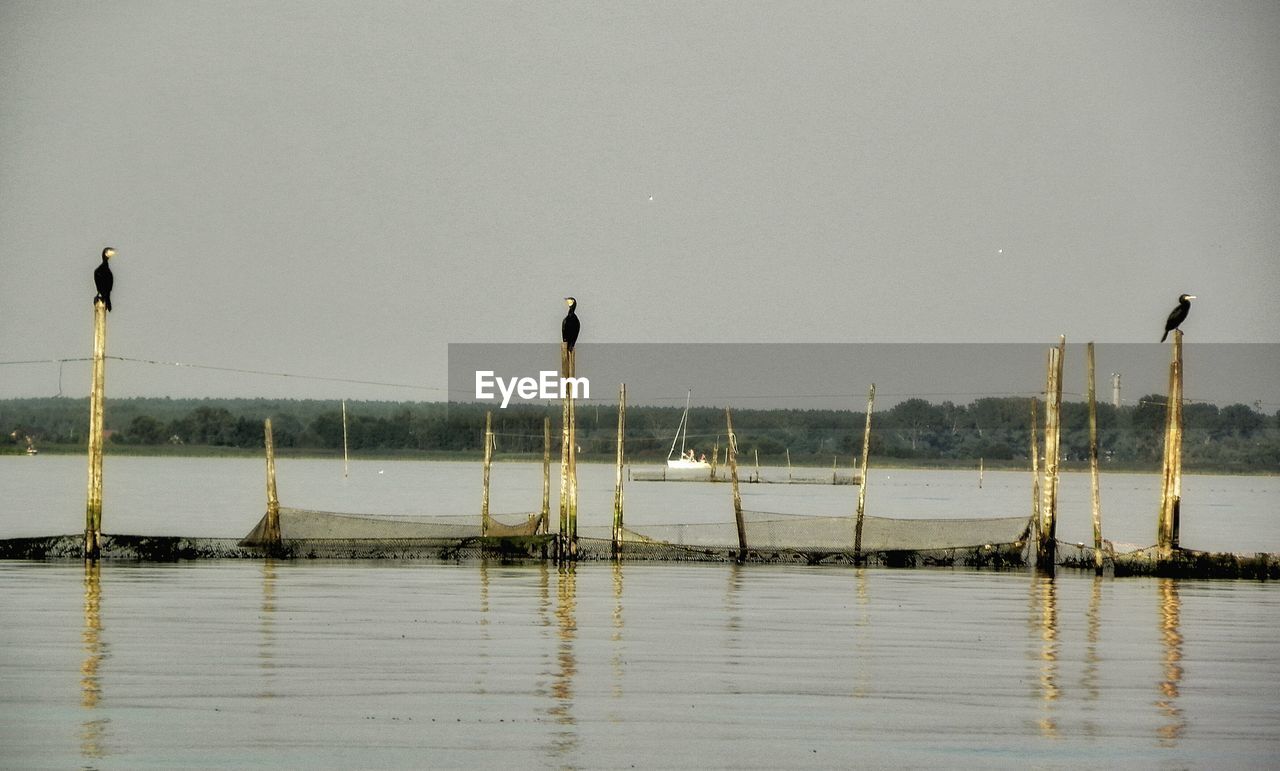 SCENIC VIEW OF SEA