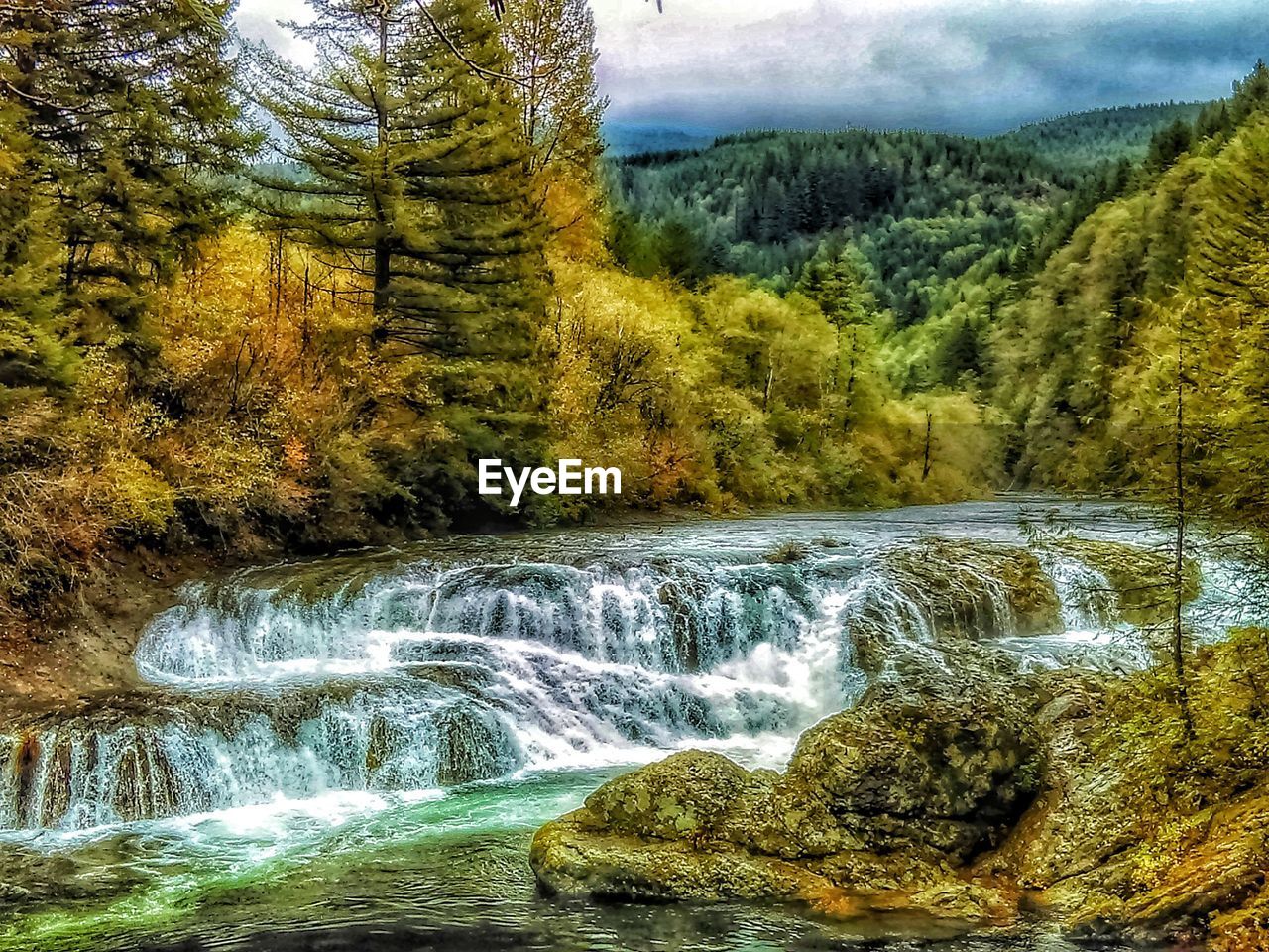 SCENIC VIEW OF WATERFALL AGAINST TREES